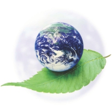 Durability Icon